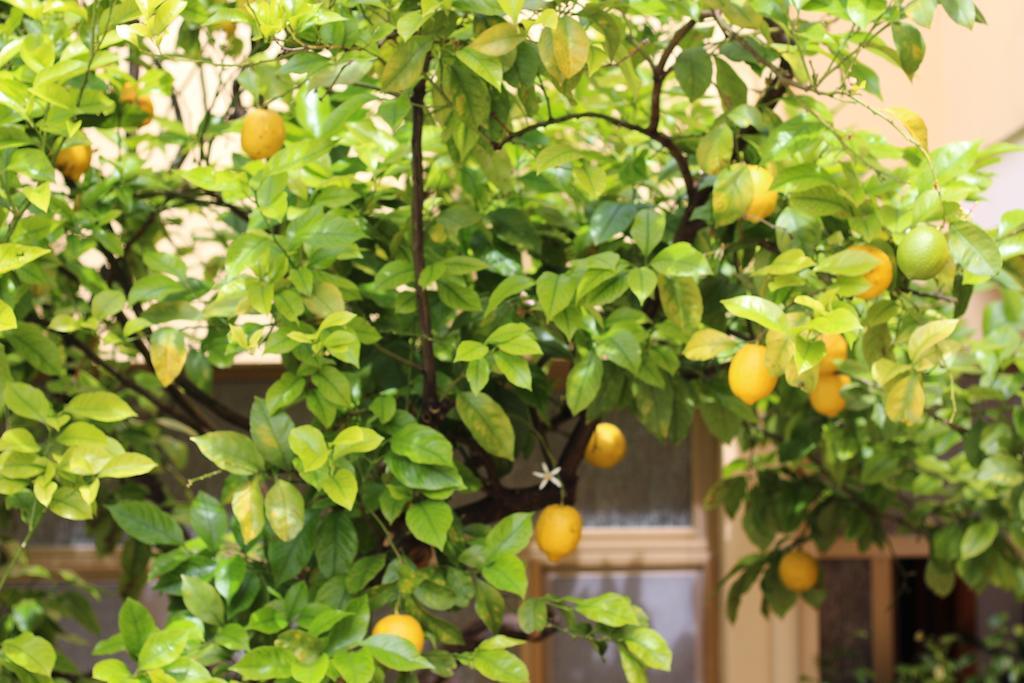 Fiori E Limoni Bed & Breakfast Quartucciu Luaran gambar