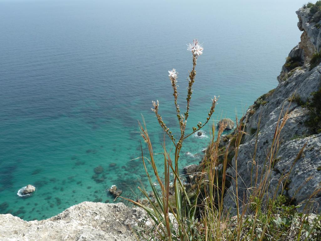 Fiori E Limoni Bed & Breakfast Quartucciu Luaran gambar