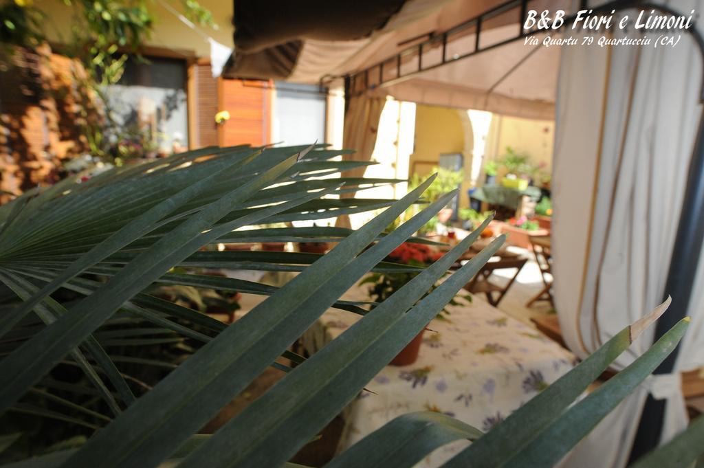 Fiori E Limoni Bed & Breakfast Quartucciu Luaran gambar